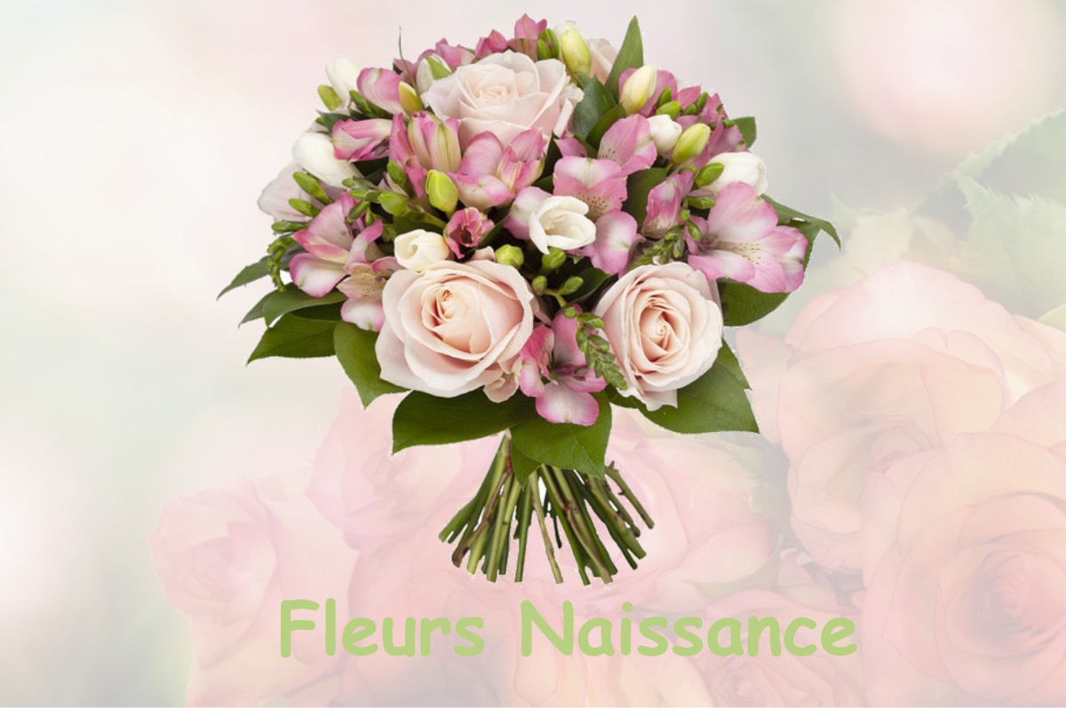 fleurs naissance LE-PLAN