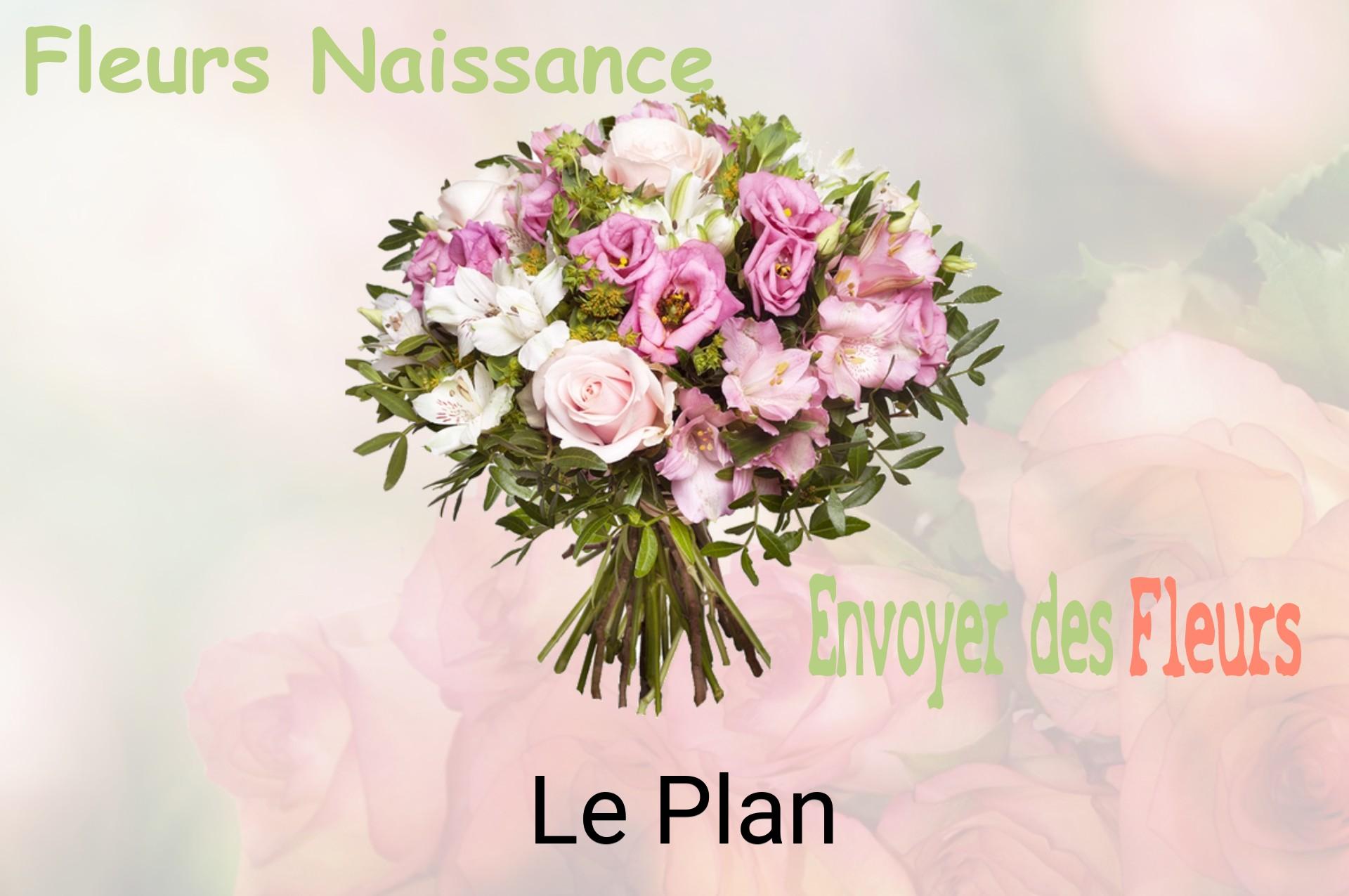 Bouquet de fleurs de naissance livré à Le Plan