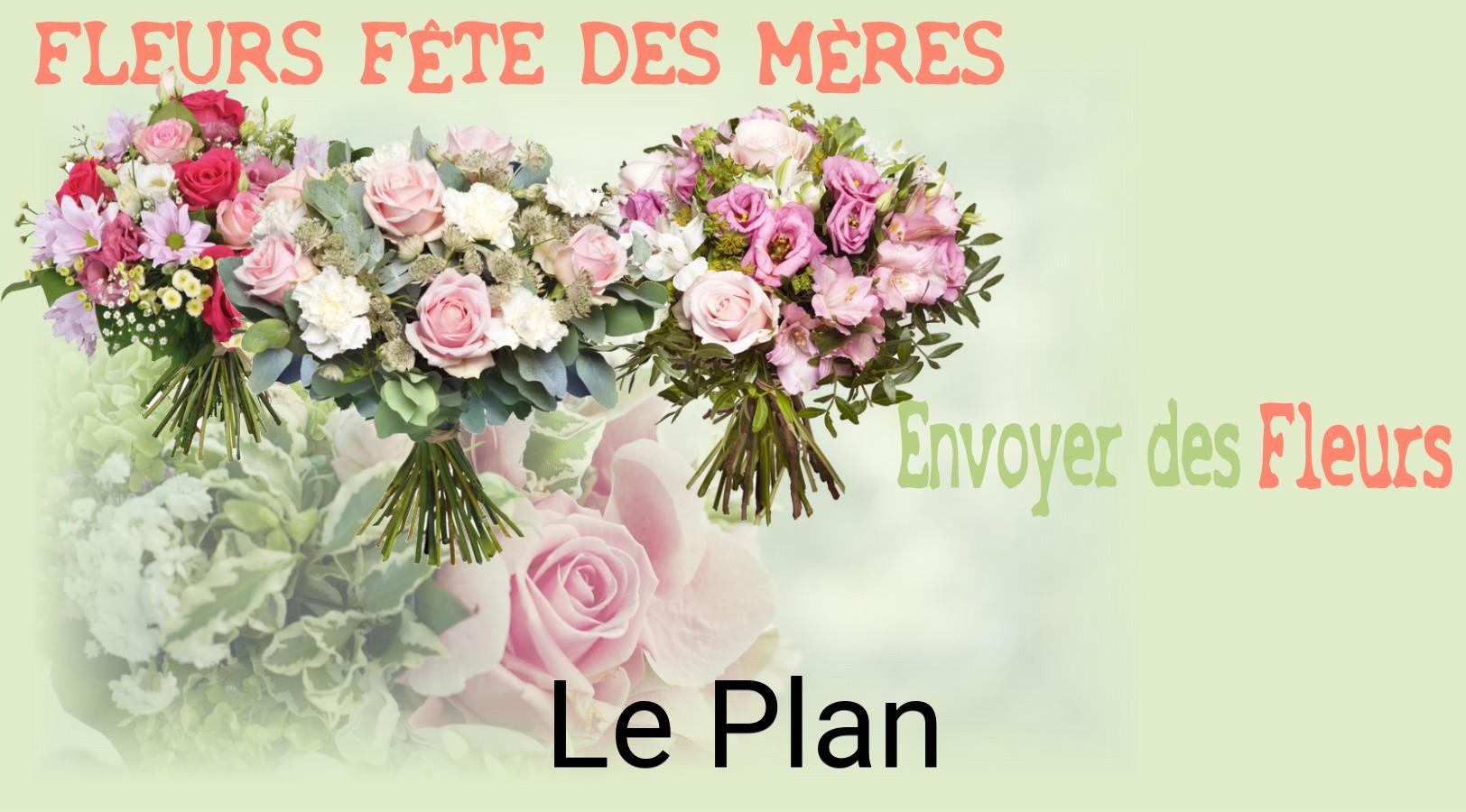 Bouquet de Fête des Mères livré à Le Plan