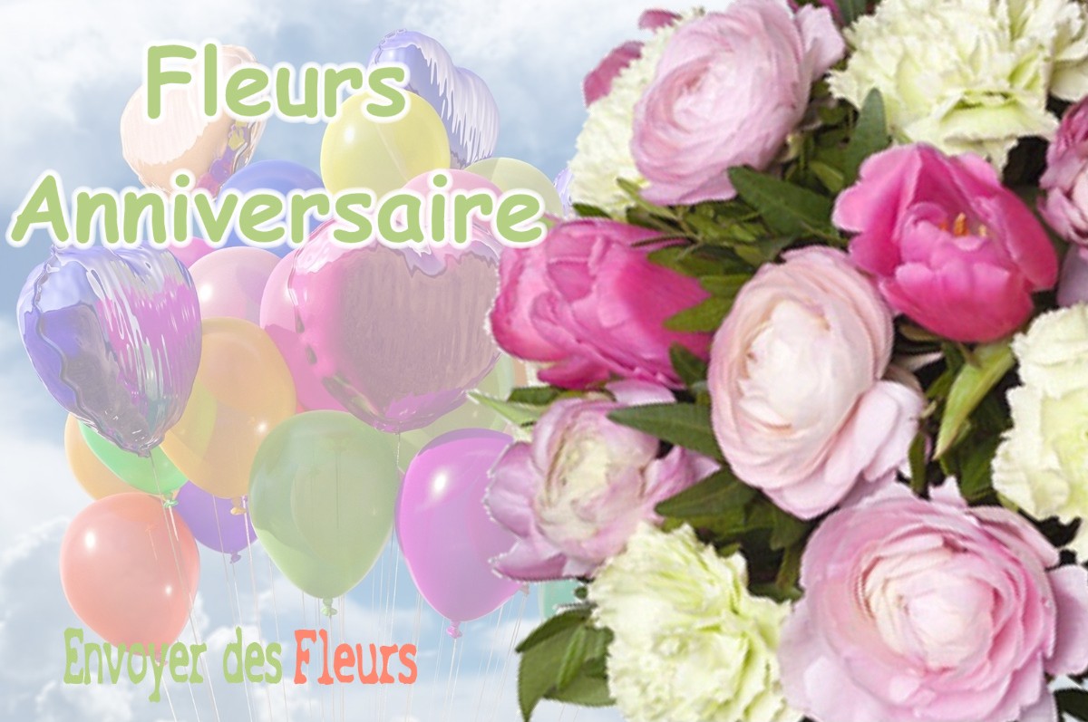 lIVRAISON FLEURS ANNIVERSAIRE à LE-PLAN