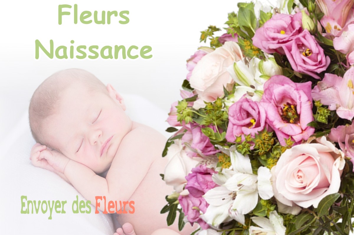 lIVRAISON FLEURS NAISSANCE à LE-PLAN